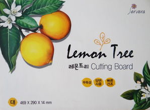 韩国进口厨房用品抗菌纳米菜板 水果图案大号 正品批发