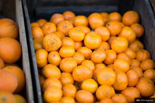橙色 水果 购物篮 生产 光明 食品 美食摄影图片