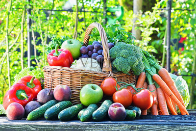 清新,蔬菜,菜园,水果,有机食品